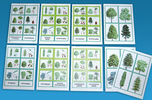 baum spiele baum spiele