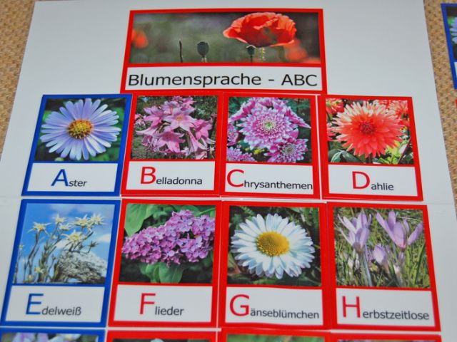 BlumenspracheABC BEL Montessori