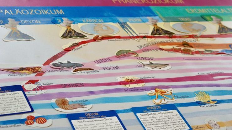 Kosmische Erziehung in der Schule nach Maria Montessori